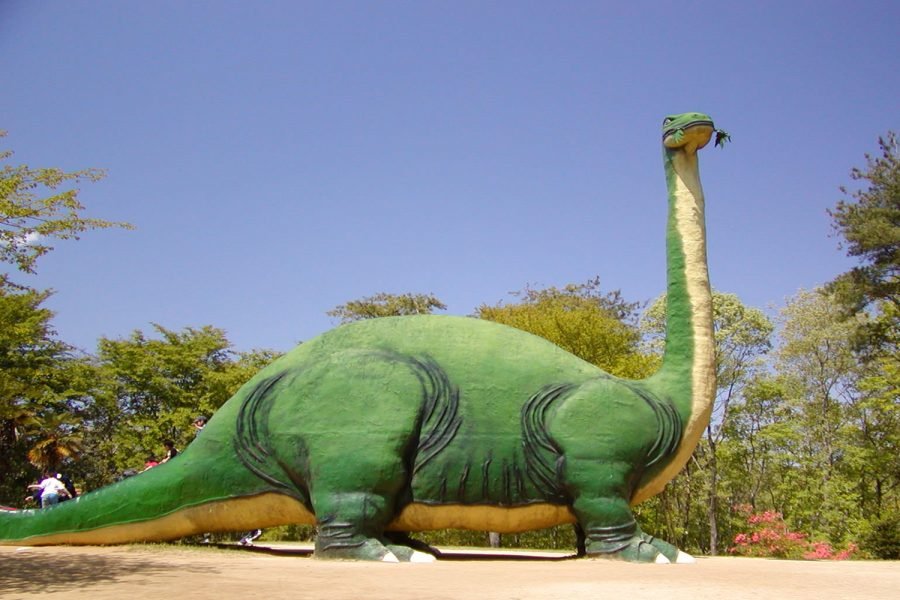 🌳 미토시 삼림공원(미토시 신린코엔) 이미지 6